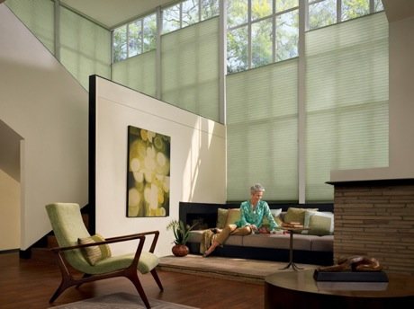 Living Room Honeycombs: Duette® Architella® by Hunter Douglas